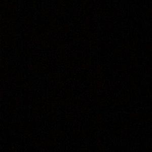 Meet your Posher, Alexis amara